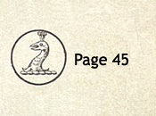 Sowerby pattern book IX 1885 Page 45